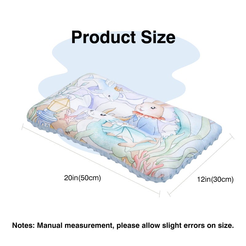 Reidio 1Pcs Toddler Pillow Double Sided Warm Plush & Minky Dot Fabric Kids Pillow Cute Small Pillow Machine Washable (#W-Ocean Blue) - Image 2