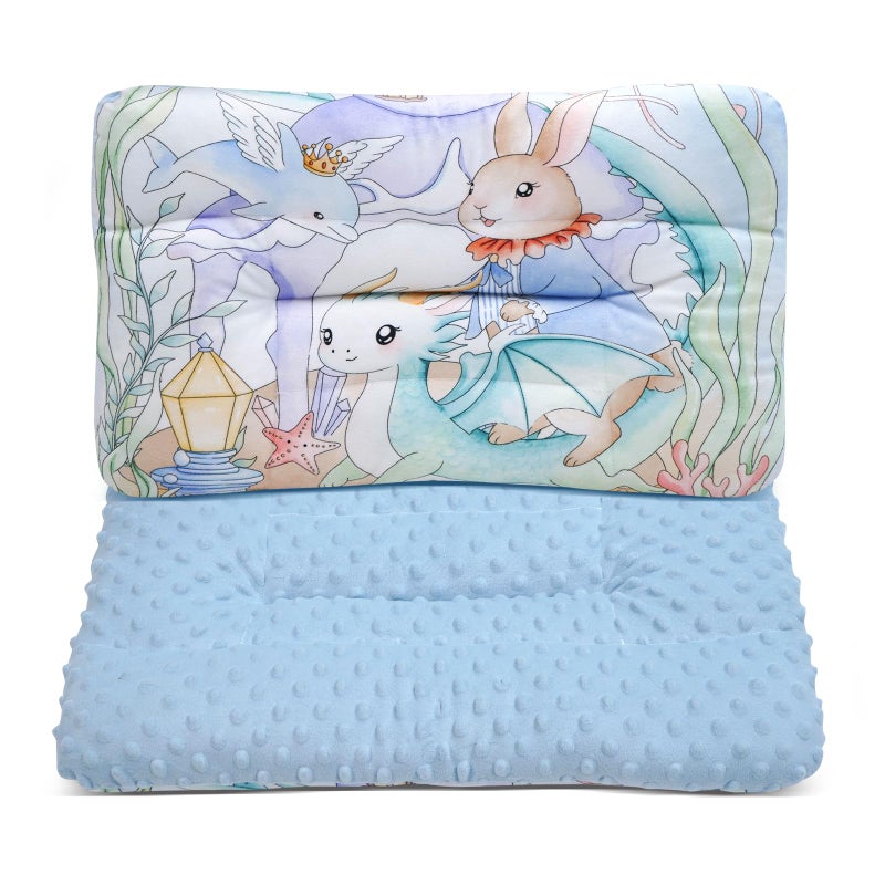 Reidio 1Pcs Toddler Pillow Double Sided Warm Plush & Minky Dot Fabric Kids Pillow Cute Small Pillow Machine Washable (#W-Ocean Blue) - Image 1