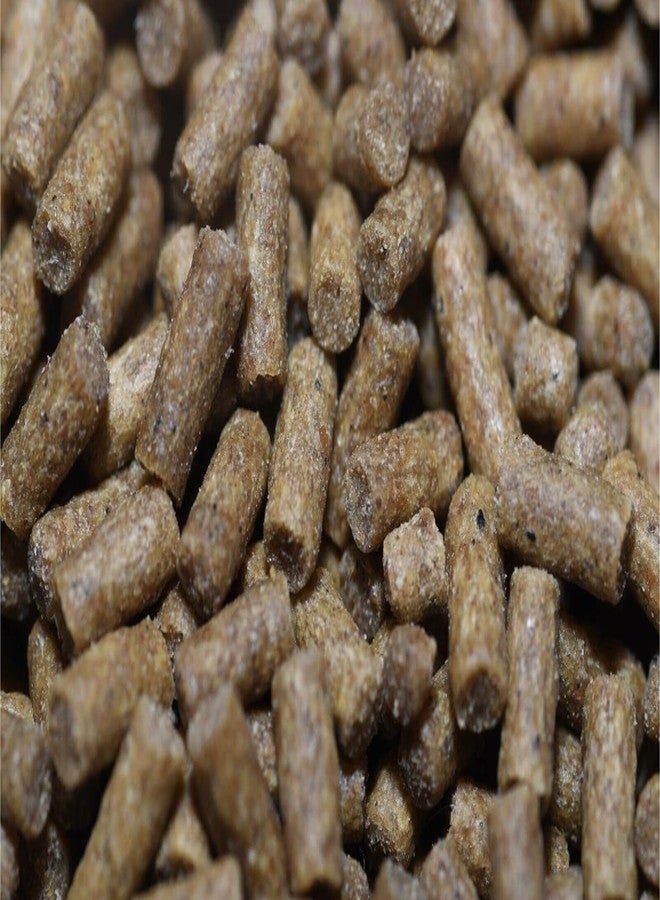 Wpc-Co. 1LB Sinking Pellets for Freshwater Bottom Feeders, Shrimp & Snails - 2.4mm Aquarium Food for Corydoras, Loaches, Plecos, Otocinclus, Nerite, Mystery Snails & Freshwater Shrimp - Image 3