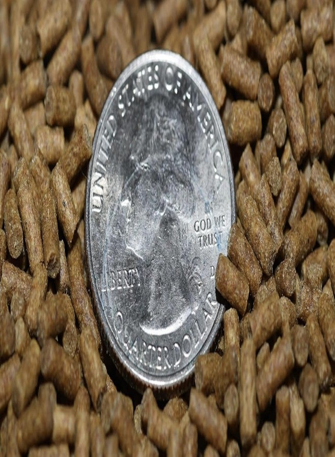 Wpc-Co. 1LB Sinking Pellets for Freshwater Bottom Feeders, Shrimp & Snails - 2.4mm Aquarium Food for Corydoras, Loaches, Plecos, Otocinclus, Nerite, Mystery Snails & Freshwater Shrimp - Image 4