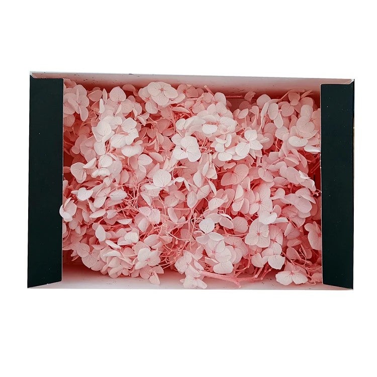 Bluejw Preserved Real Touch Hydrangea in Box – Long-Lasting Dried Plants for Wedding, Party & Festival Decor, DIY Gift Bouquet - Image 1