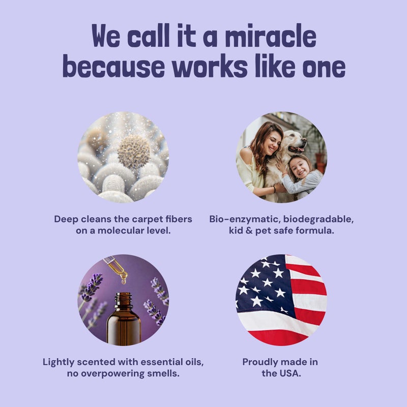 Sunny & Honey Carpet Cleaner Solution - 32 Fl Oz, Light Lavender - Deep Stain Remover & Odor Deodorizer - Pet Carpet Cleaner & Rug Shampoo - Image 3