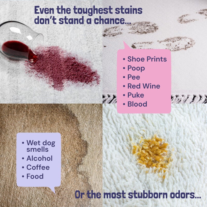 Sunny & Honey Carpet Cleaner Solution - 32 Fl Oz, Light Lavender - Deep Stain Remover & Odor Deodorizer - Pet Carpet Cleaner & Rug Shampoo - Image 4