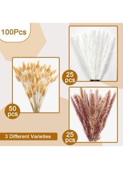 ماركة غير محددة المجففة Pampas العشب المجفف زهرة صغيرة بوص بوهيميا الزهور الطبيعية للزينة المنزلية زهرة غرفة المعيشة شرفة حفل زفاف ترتيب ذيل الأرنب الأبيض ريد 