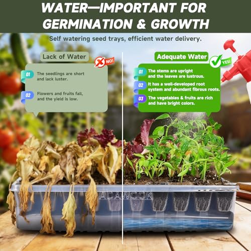 Adawook Self-Watering Seed Starter Tray, Seed Starter Kit Self Water, Germination Trays for Seed Starting with High Humidity Domes (Tray, 120 Cells) - Image 5
