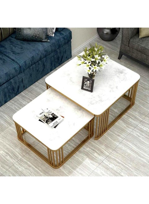 ETIQUETTE ART Ironwood Square Coffee Tables2 Table Set Coffee Table With Storage Open Shelf For Living Room Modern Minimalist Style Furniture Side End Table Gold White