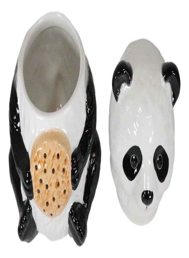 Ebros Gift The Kung Fu Dragon Warrior Giant Panda Ceramic Cookie Jar Container 9.5" Tall Collectible Kitchen Hosting Dining Accessory Cute Panda Bear Figurine - Image 5