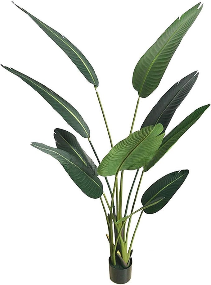GORGEOUS 5 FEET TRAVELLER PALM ARTIFICIAL TREE WITH GIANT LEAVES UV PROTECTION FEEL REAL TECH WITH PLASTIC NURSERY POT GREEN