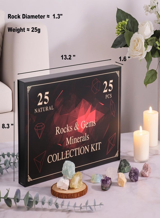 HEMYLU Rock Collection for Kids, 25PCS Crystal Gem Mineral Collection Set Box Gift for Boys and Girls, Natural Gemstone with Learning Guide Education Set - Image 3