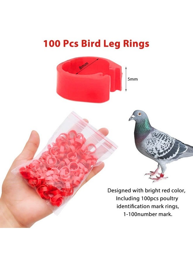 Qpets® Bird Leg Rings-Numbered, 100 Pcs Bird Rings for Leg Identification Leg Bands Pigeon, Poultry Bird Shoulder Guard Foot Rings for Bantam Finch Dove Pigeons Lovebird Coturnix Quail - Image 3