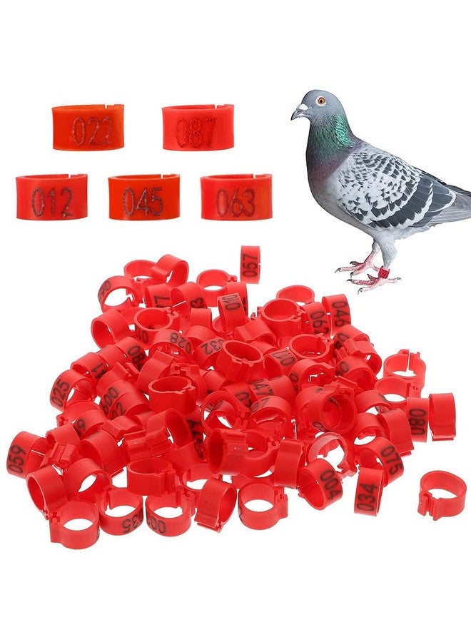 Qpets® Bird Leg Rings-Numbered, 100 Pcs Bird Rings for Leg Identification Leg Bands Pigeon, Poultry Bird Shoulder Guard Foot Rings for Bantam Finch Dove Pigeons Lovebird Coturnix Quail - Image 1