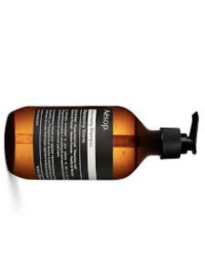 أيسوب شامبو إيسوب ٥٠٠ مل - Image 2