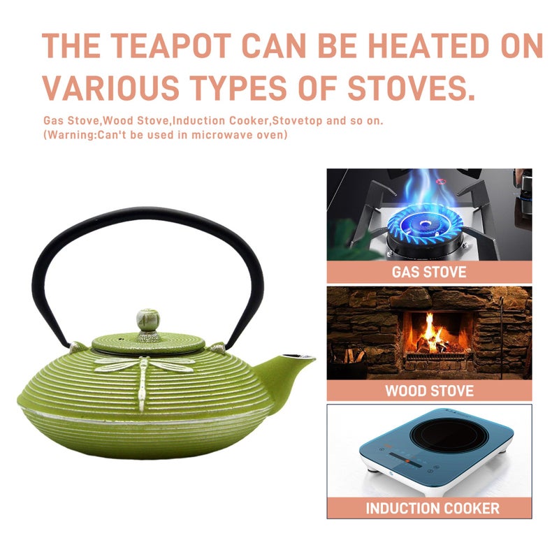 SECHUDO Cast Iron Teapot,SECHUDO Tea Kettle Coated with Enameled Interior for Loose Tea,Cast Iron Teapot with Stainless Steel Infuser for Stovetop Safe (27.1oz Flat Dragonfly Pattern) - Image 5