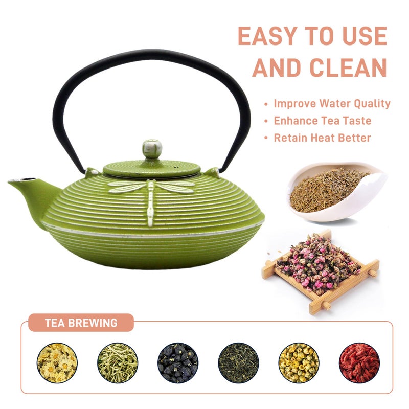 SECHUDO Cast Iron Teapot,SECHUDO Tea Kettle Coated with Enameled Interior for Loose Tea,Cast Iron Teapot with Stainless Steel Infuser for Stovetop Safe (27.1oz Flat Dragonfly Pattern) - Image 3