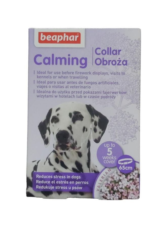 بيفار طوق تهدئة 65سم - Image 1