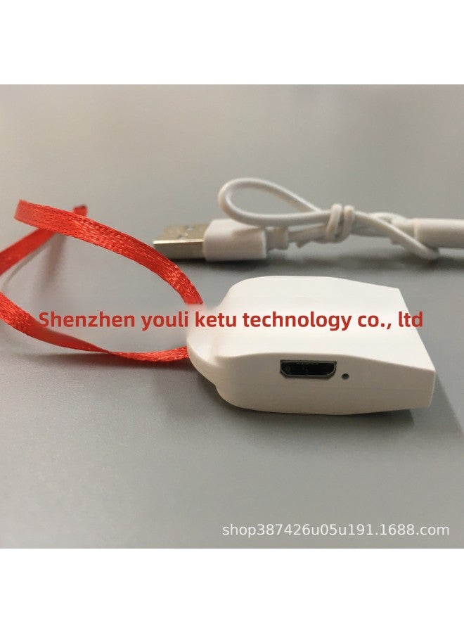 Luminous Keychain Rechargeable Acrylic Special-shaped Colorful Pendant Source Stall Wholesale-Color:Red Rope Charging Semi-finished Products-White - Image 1