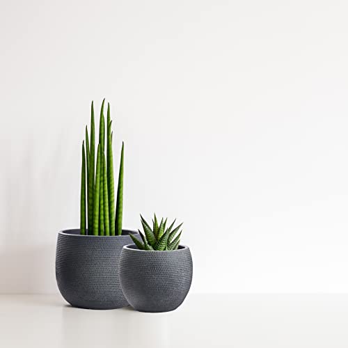 Olly & Rose Barcelona Ceramic Plant Pot Set 2 - Black Flower Pots 7" and 5.5" - Indoor & Outdoor Planters (Black) - Image 2