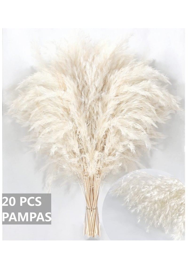 SYOSI White Pampas Grass for Home Decor - Elegant Boho Decor - Premium Quality Pampas Grass Stems - Perfect for House, Nursery, Western, Wedding, Table, and Bohemian Decor (20PCS)  - Image 3