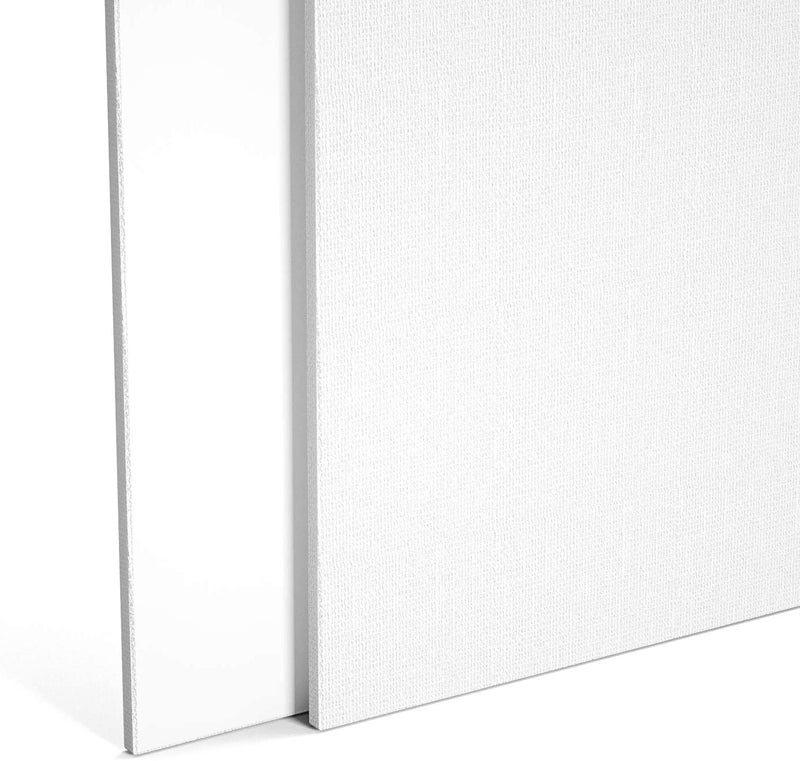 SNOOGG Pack of 2 Painting Canvas Board Panel Size : 20X24 Inch White Double Primed Artist Quality for Oil Acrylic and Mix Media Painting - Image 4