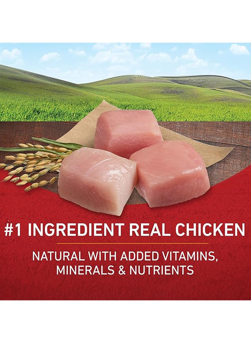 PURINA One Chicken And Rice Formula Dog Food - Image 2