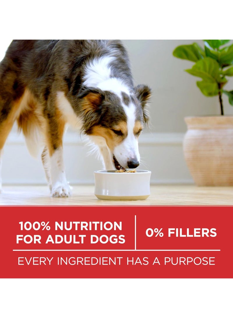 PURINA One Chicken And Rice Formula Dog Food - Image 4