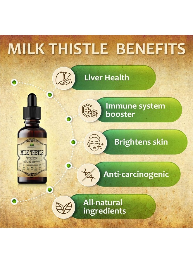 HERBALICIOUS Milk Thistle Extract Allnatural Cleanse And Detox Supplement For Liver Support Immune System Boost And Skin Health Silymarin Nutritional Supplement 2 Fl Oz - Image 5