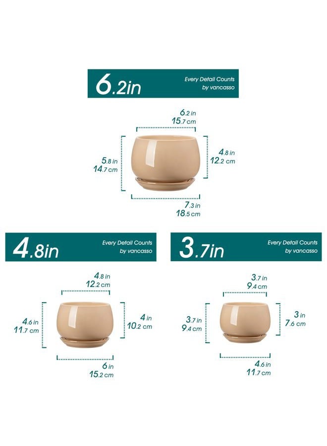 vancasso 3-Pack Ceramic Plant Pots, 3.7/4.8/6.2 Inch Indoor Planters with Saucers & Drainage Hole Planter pots for Indoor Plants and Flower, Brown - Image 2