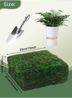 HomarKet Natural Green Moss for Crafts, Preserved Artificial Moss Potted Plants, Decorative Moss for Table Centerpieces Wedding Fairy Party Decor, Faux Moss for Indoor Planters, DIY Project (800g)  - Image 5
