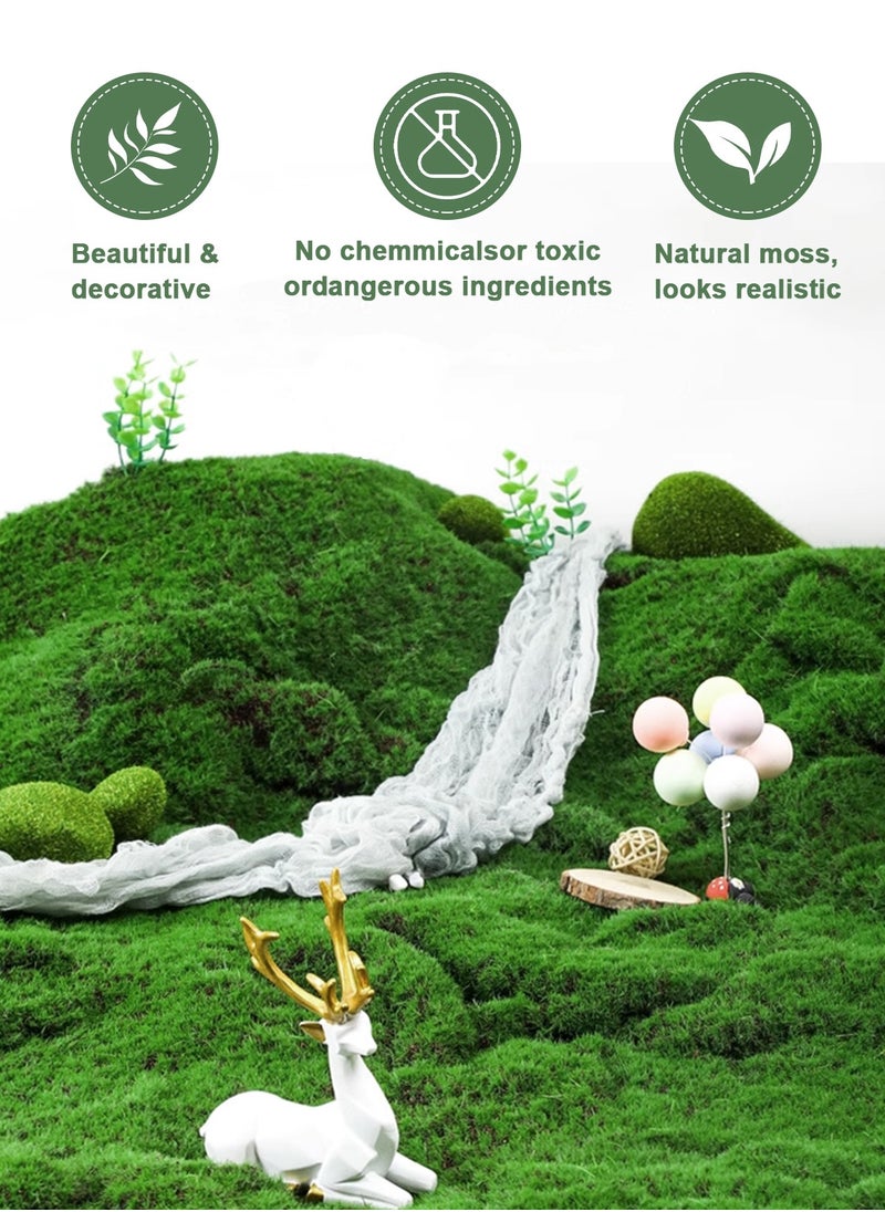 HomarKet - Natural Green Moss for Crafts, Preserved Artificial Moss Potted Plants, Decorative Moss for Table Centerpieces Wedding Fairy Party Decor, Faux Moss for Indoor Planters, DIY Project (800g) - Image 1