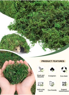 HomarKet Natural Green Moss for Crafts, Preserved Artificial Moss Potted Plants, Decorative Moss for Table Centerpieces Wedding Fairy Party Decor, Faux Moss for Indoor Planters, DIY Project (800g)  - Image 3