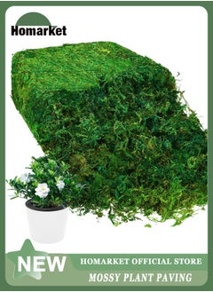 HomarKet Natural Green Moss for Crafts, Preserved Artificial Moss Potted Plants, Decorative Moss for Table Centerpieces Wedding Fairy Party Decor, Faux Moss for Indoor Planters, DIY Project (800g)  - Image 1
