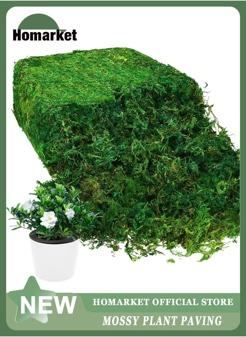 HomarKet - Natural Green Moss for Crafts, Preserved Artificial Moss Potted Plants, Decorative Moss for Table Centerpieces Wedding Fairy Party Decor, Faux Moss for Indoor Planters, DIY Project (800g) - Image 1