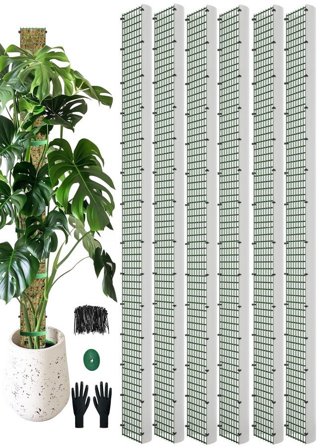 HOLANHING 60"/40"/24" Metal Moss Pole D Shape for Climbing Plants, Indoor Monstera Support Kit With 6 Pieces - Sphagnum Material - Image 1