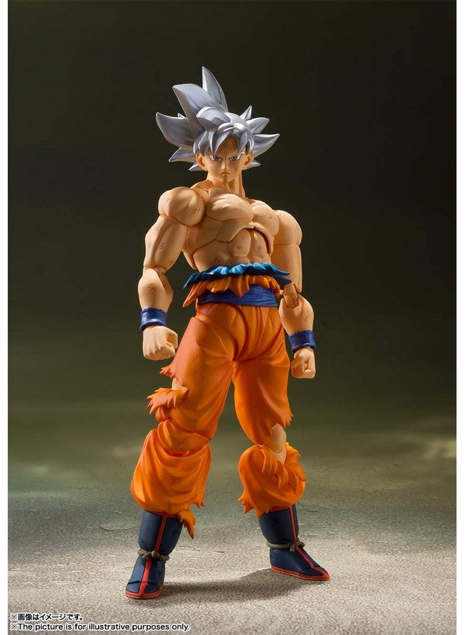 Tamashii Nations تاماشي نيشونز - دراغون بول سوبر - سون غوكو - وضعية فائقة - (إعادة إصدار)، تمثال حركة من بانداي سبيريتس S.H.Figuarts - Image 2