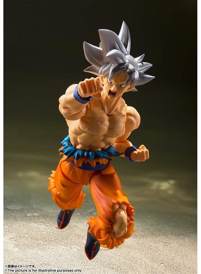 Tamashii Nations تاماشي نيشونز - دراغون بول سوبر - سون غوكو - وضعية فائقة - (إعادة إصدار)، تمثال حركة من بانداي سبيريتس S.H.Figuarts - Image 4