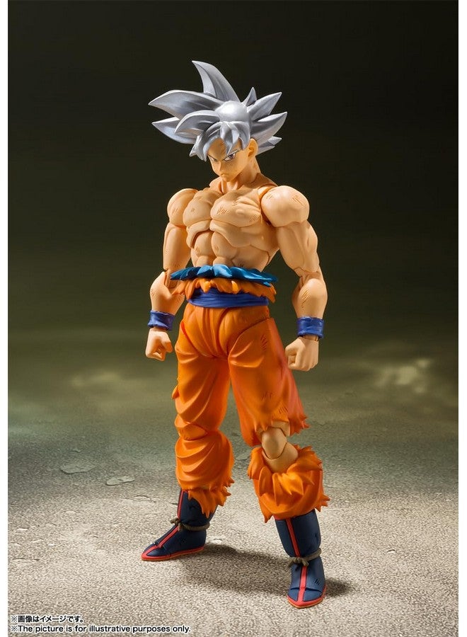 Tamashii Nations تاماشي نيشونز - دراغون بول سوبر - سون غوكو - وضعية فائقة - (إعادة إصدار)، تمثال حركة من بانداي سبيريتس S.H.Figuarts - Image 3