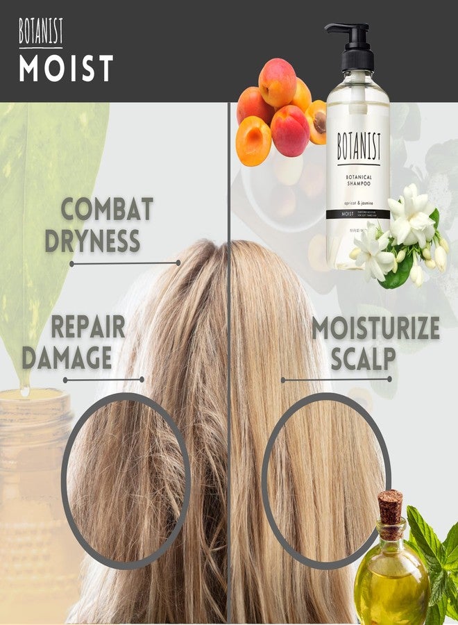 BOTANIST Hydrating Shampoo for Dry Hair, Organic Shampoo for Women & Men by Botanical Protein, Collagen, Natural Keratin, Hyaluronic Acid & Ceramide from Japan, Paraben & Sulfate Free 15.5 Fl Oz MOIST - Image 4