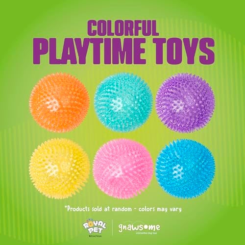 Gnawsome Medium Squeaker Ball Dog Toy, Medium 3.5", Colors will vary, All Breed Sizes - Image 5