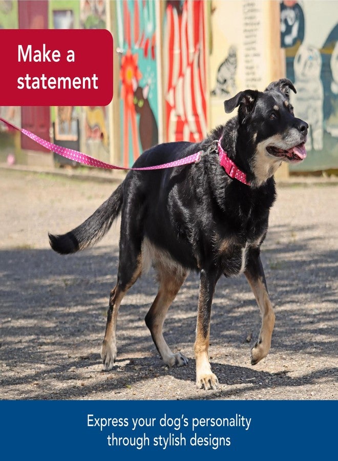 كوستال طوق كلاب بتصميم ساحلي - طوق كلاب عصري ونابض بالحياة - بنقشة زهور استوائية خضراء ووردية - 3/8 بوصة × 6 أقدام - Image 3