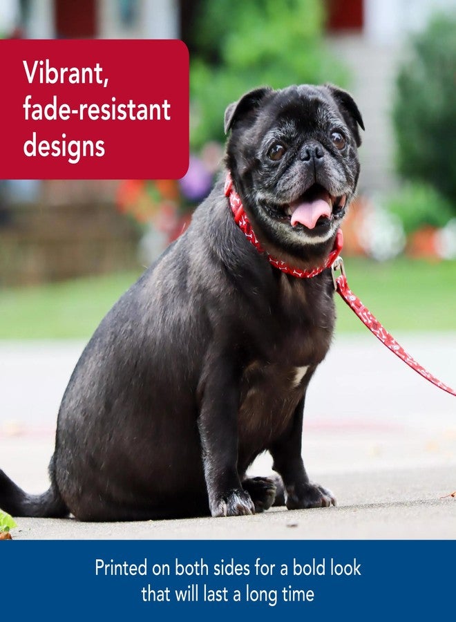 كوستال طوق كلاب بتصميم ساحلي - طوق كلاب عصري ونابض بالحياة - بنقشة زهور استوائية خضراء ووردية - 3/8 بوصة × 6 أقدام - Image 4