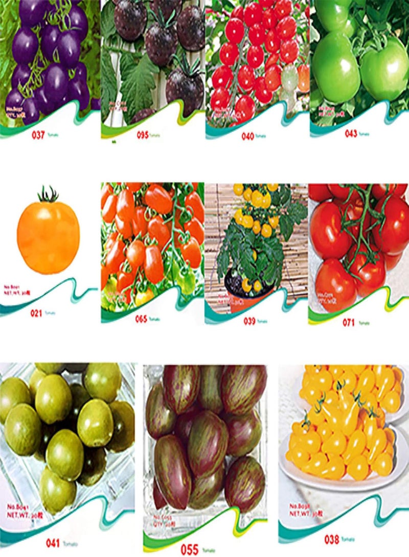 GGOOT Tomato Seeds Purple Colorful Cherry Black Red Yellow Blue Zebra Tomato - 95 - Image 1