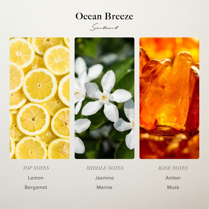 Scentiment Diffuser Oil - Ocean Breeze | Inspired by Five Star Hotels' Lobby Scent | Luxurious Scent with Notes of Bergamot, Lemon, Jasmine with Marine & Amber (20ml) - Image 2