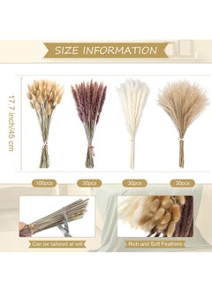 Generic 190 Pcs Dried Pampas Grass Dried Flowers Of Small Reeds Boho Natural Flowers Arrangements White Reed Bunny Tails for Home Decor Flower Living Room Balcony Wedding Party 