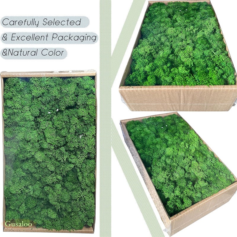 Gusaloo Preserved Moss Artificial Moss Natural Fresh Green Moss for Craft Handicraft Arts Floral Project Wall Decor Table Decor Wedding Centerpieces Garden Terrariums Decoration -Mid-Green - Image 2