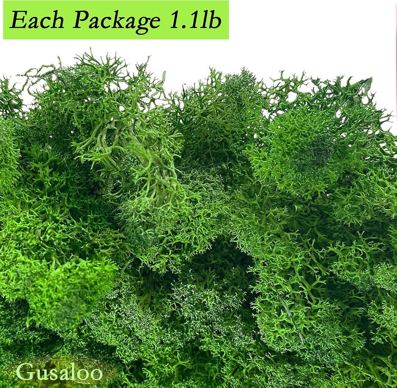 Gusaloo Preserved Moss Artificial Moss Natural Fresh Green Moss for Craft Handicraft Arts Floral Project Wall Decor Table Decor Wedding Centerpieces Garden Terrariums Decoration -Mid-Green - Image 5