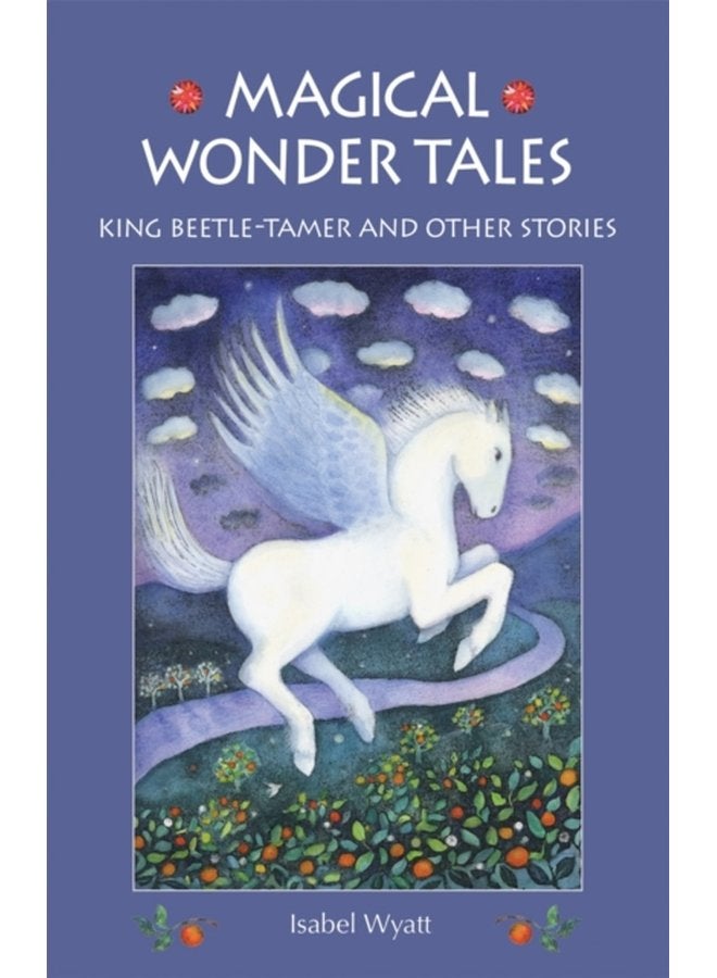 Magical Wonder Tales King Beetle Tamer and Other Stories - Paperback