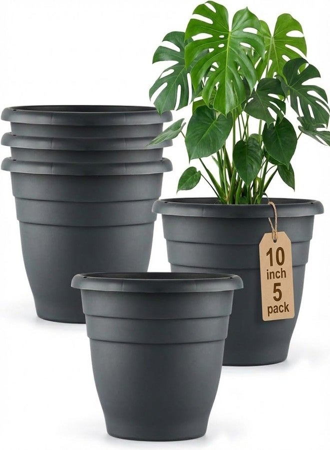 RooTrimmer 5-Pack 10 inch Plastic Planters, Round Flower Pots with Drainage Holes, Thick Sturdy Traditional Garden Pots Indoor and Outdoor(Dark Gray) - Image 1