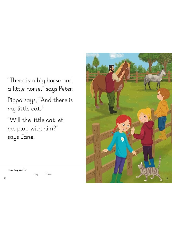 null - Ladybird Key Words with Peter and Jane: new global edition Level 5 Book 2 - Image 1