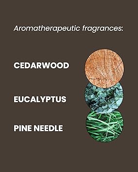 ManCave جل استحمام مان كايف من خشب الأرز 500 مل للرجال برائحة الخشب المنعشة تركيبة طبيعية خالية من الكبريتات والبارابين صديقة للنباتيين أنبوب مصنوع من البلاستيك المعاد تدويره مصنوع في إنجلترا عبوة من 2 - Image 5