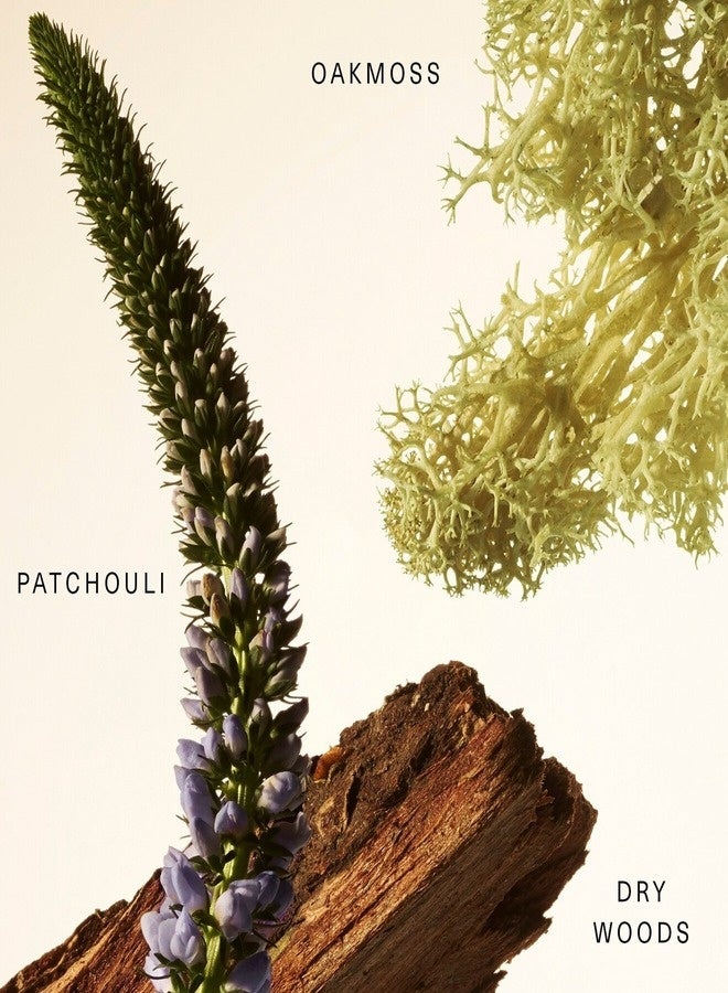 Rare Beauty by Selena Gomez Woody Oak Rare Fragrance Layering Balm | Solid Perfume, Warm Woody Scent, 0.67 oz / 20 mL - Image 5